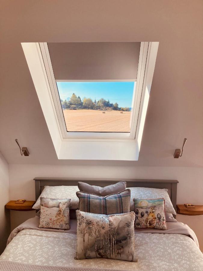 Apartment 'wardlaw View' Luxury With Stunning View *